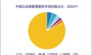 2022上半年中国云运维管理服务市场规模41亿同比增长17.4%：华为第一