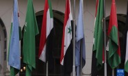 阿盟外长级特别会议举行 叙利亚重返阿盟