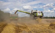 乌克兰经济部：就波兰等国禁止进口乌粮食向世贸组织提起诉讼